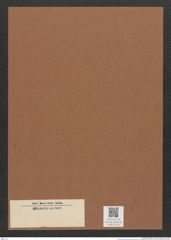 Diatomeae indet. Zeichnungen Sammlung Grunow Mappe 03451 (Herbarium_W_Grunow_drawings_Folder_03451)
